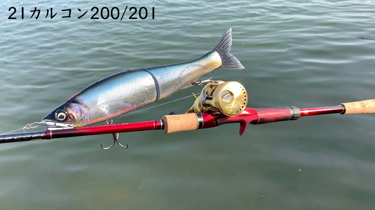 Yes, it's a godly reel. 21 Calcutta Conquest 200/201 Impressions