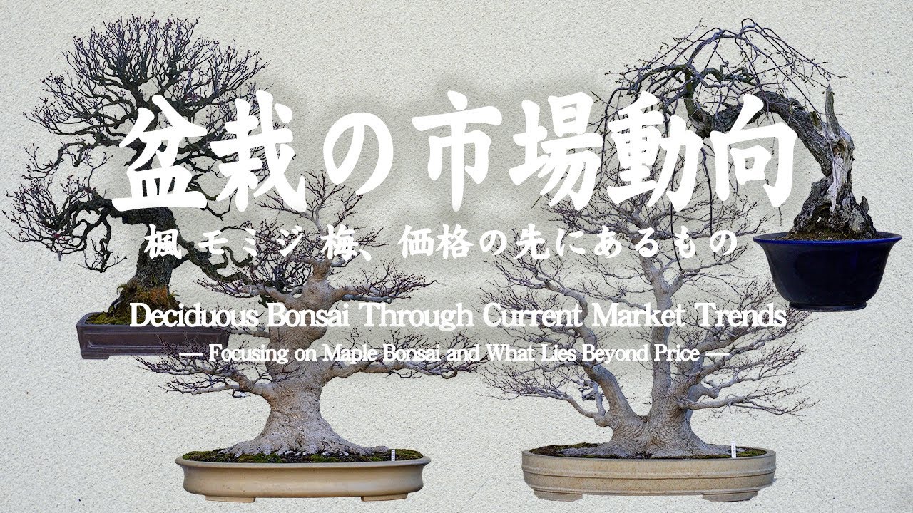 Mini bonsai with stones made from inexpensive materials [Bonsai Q