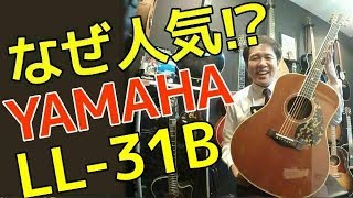 なぜ人気？ヤマハの名器 ニューハカランダの魅力！【YAMAHA LL-31B