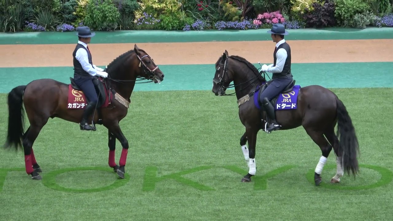 maxresdefault.jpg?sqp=-