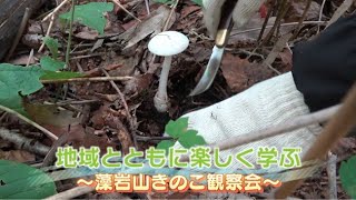 NPO法人 藻岩山きのこ観察会［森林ボランティア］
