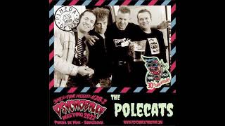 POLECATS / NOT NERVOUS! [LP - NVLP4]：PUNK / HARDCORE：アナログ