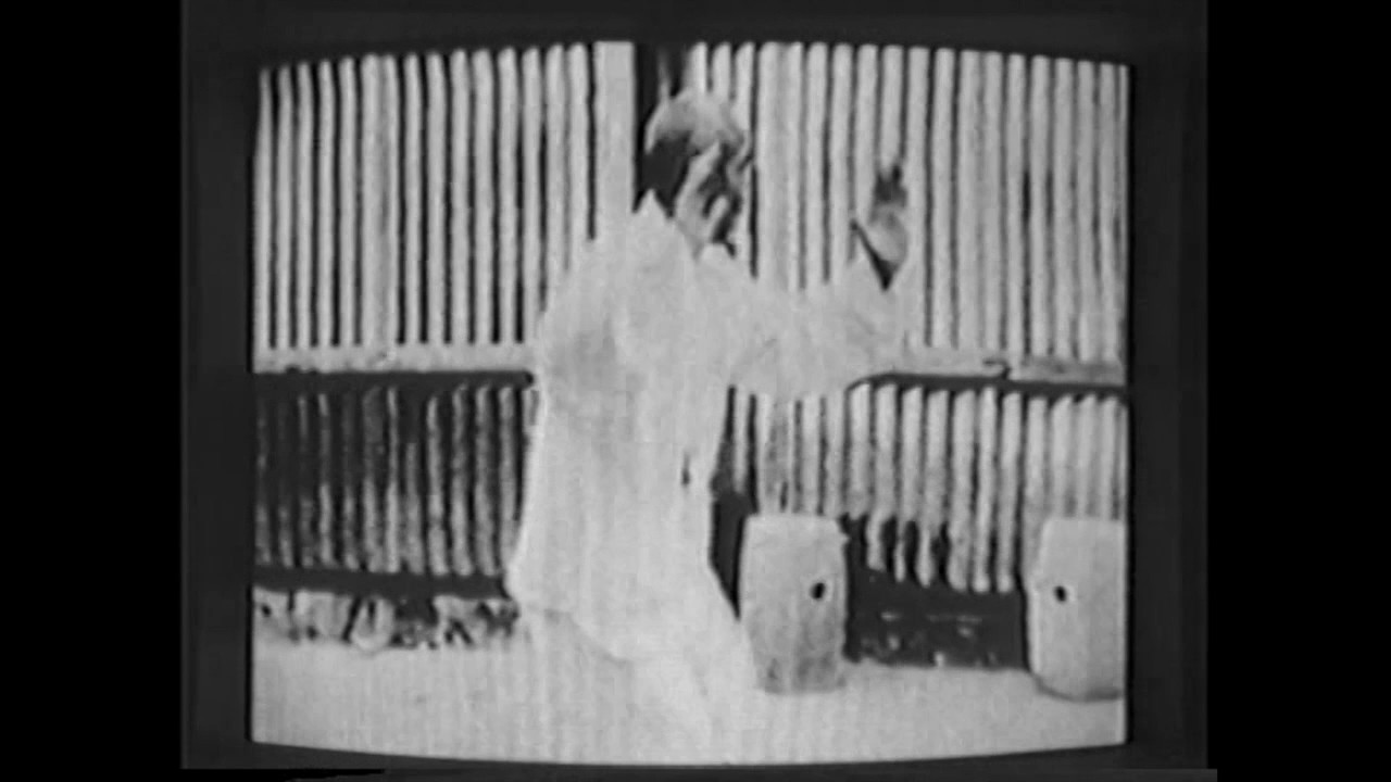 Dong Yingjie, Dong style Taijiquan 董英杰董氏太极拳- YouTube