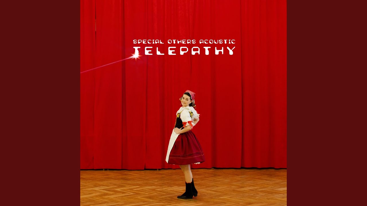 SPECIAL OTHERS - 「Live at 日本武道館 130629 ～SPE SUMMIT 2013