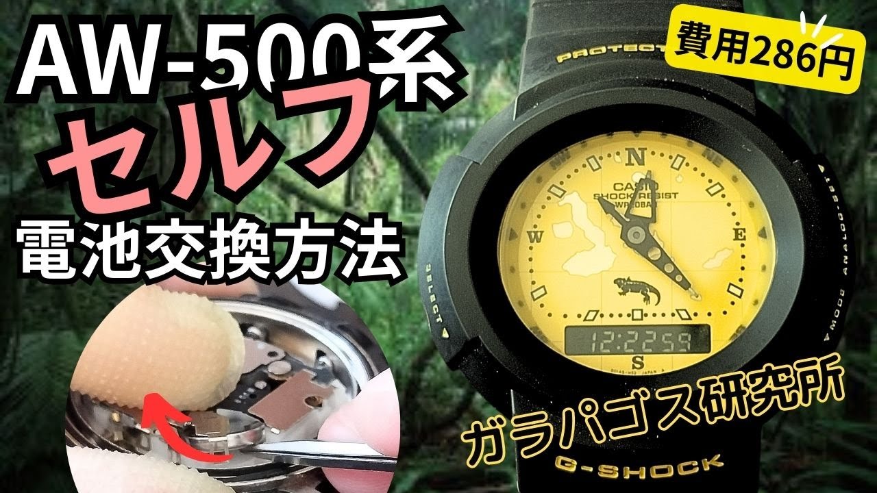 You'll need to change the battery yourself if you have an older G