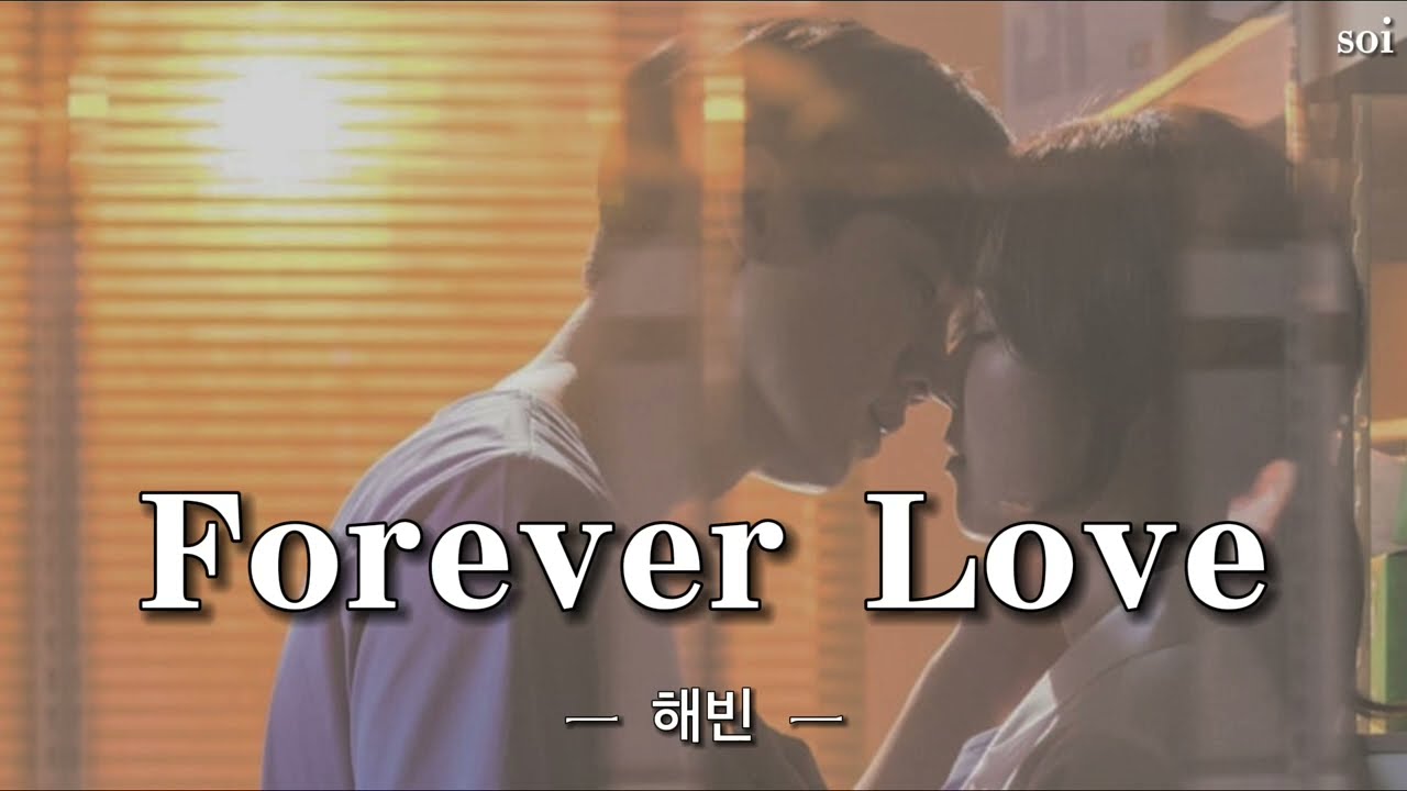 浪漫ドクターキムサブ OST】Forever Love ＿ 해빈 日本語和訳
