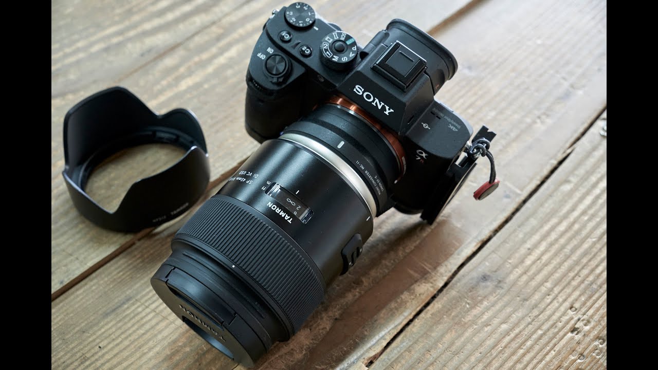 A7Rii + SIGMA MC-11 + TAMRON SP 45mm F/1.8 Di VC USD (Model F013