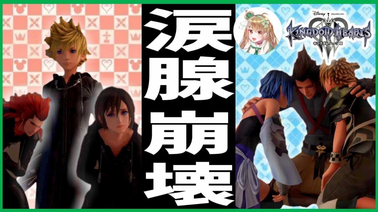 感動】キングダムハーツ3 KH3／ロクサス・シオン・アクセルの再開 女性