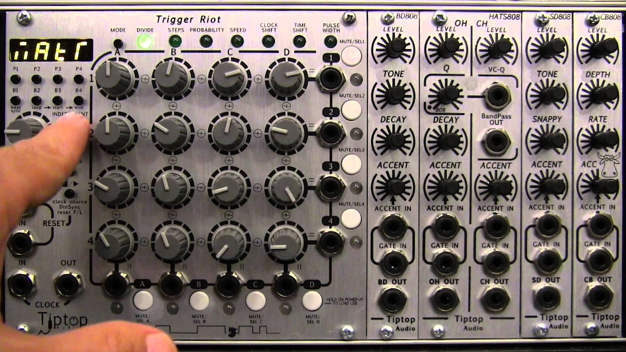 Modular Wild Presents Profile-Tiptop Audio Trigger Riot - YouTube