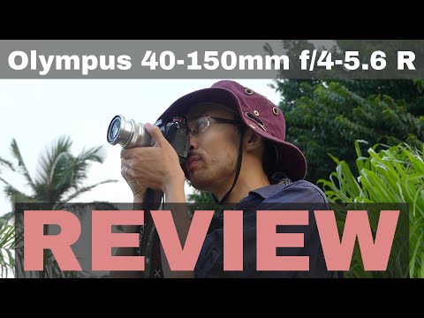 Olympus M.Zuiko ED 40-150mm f/4-5.6 R Review: Good for birds