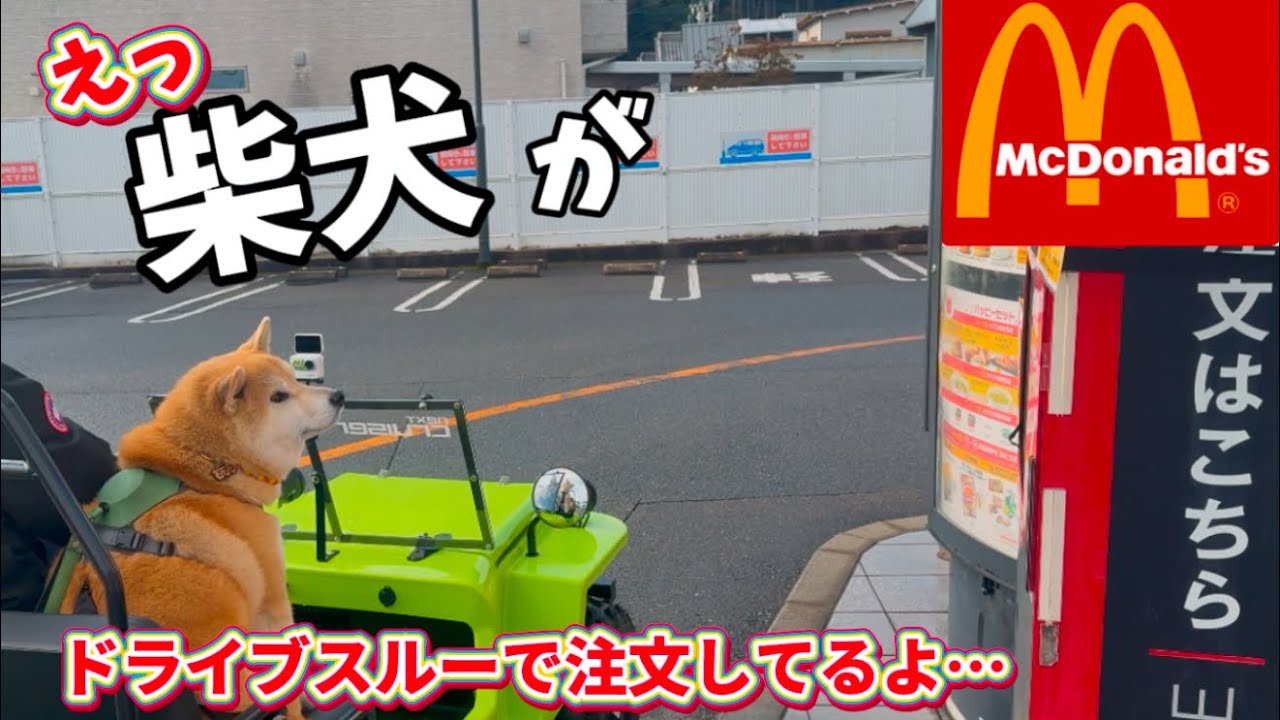 もちごめ兄弟ちゃんねる - YouTube