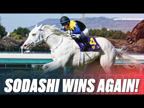 Japan's White Wonder! | Sodashi ソダシ Wins Her Third G1 Race