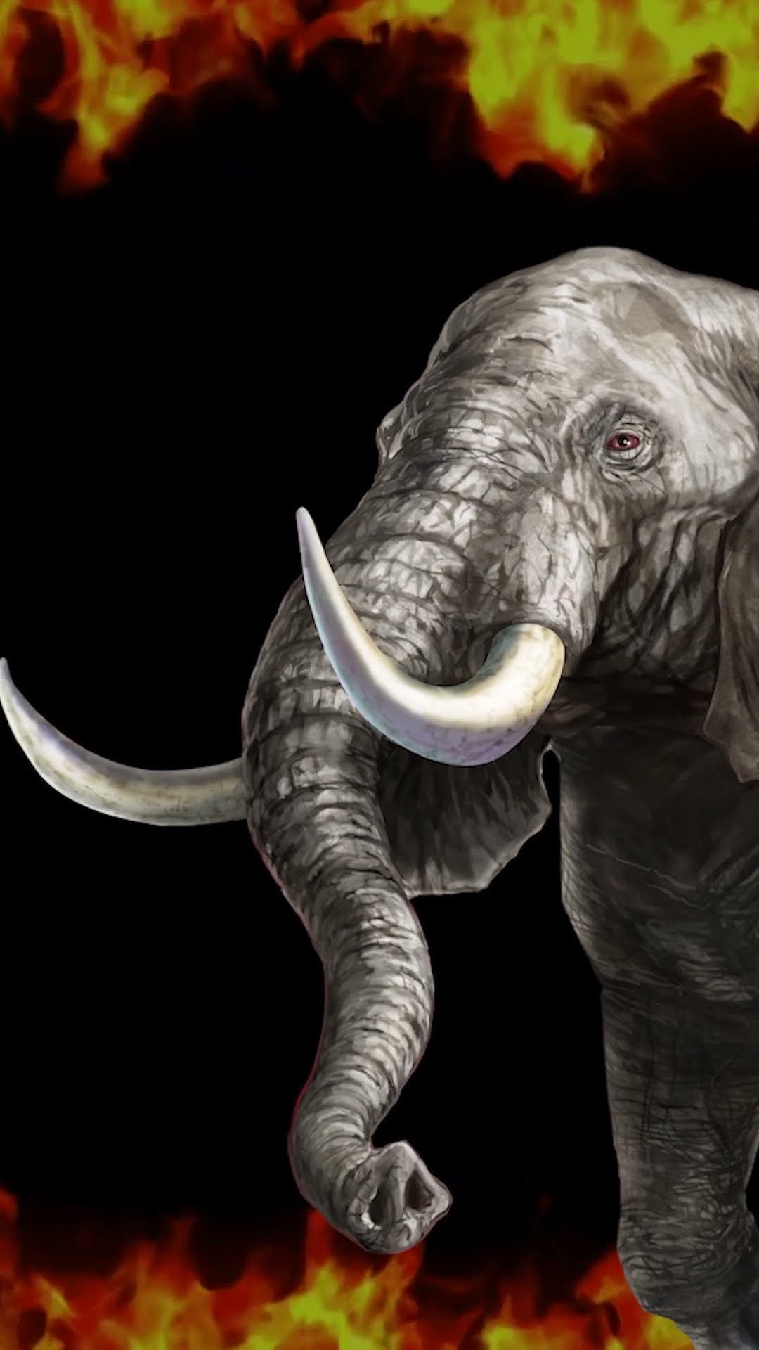 🔥最強王図鑑クイズ🔥vol.01 アフリカゾウ #shorts - YouTube