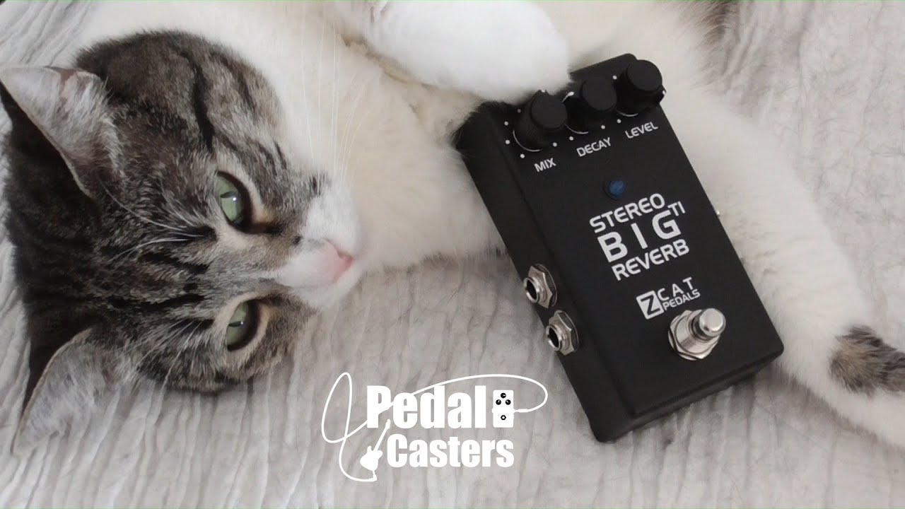 ZCAT - Big Reverb TI Stereo - Europe's Finest - YouTube