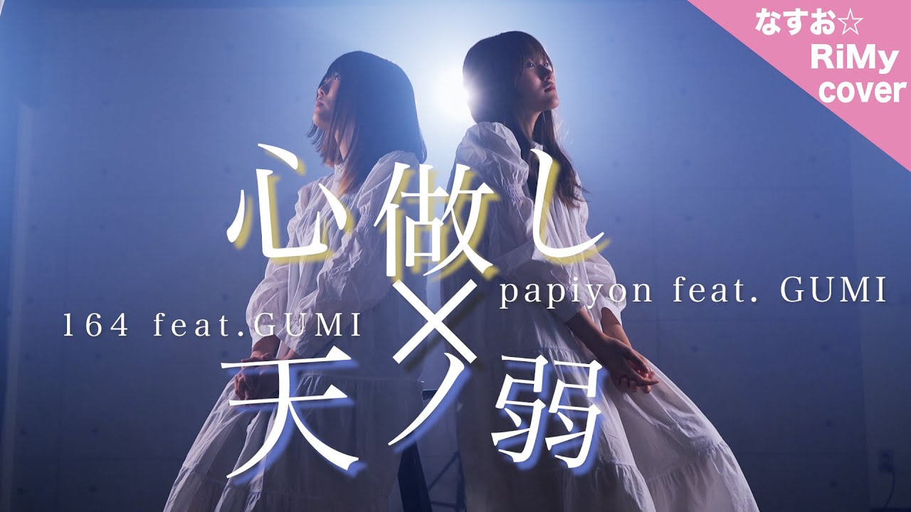 ボカロマッシュアップ】天ノ弱 × 心做し「この両手から零れそうなほど