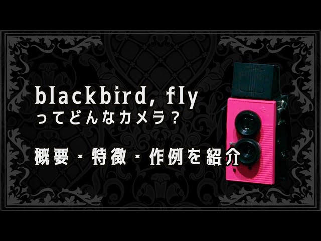 仮面ライダーディケイド】「blackbird, fly」ってどんなカメラ？ 概要