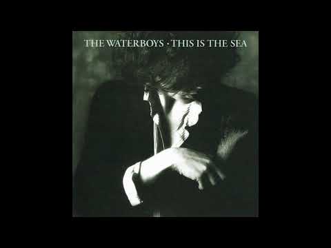 The Waterboys – This Is The Sea – Vinyl (LP, Album, Stereo), 1985
