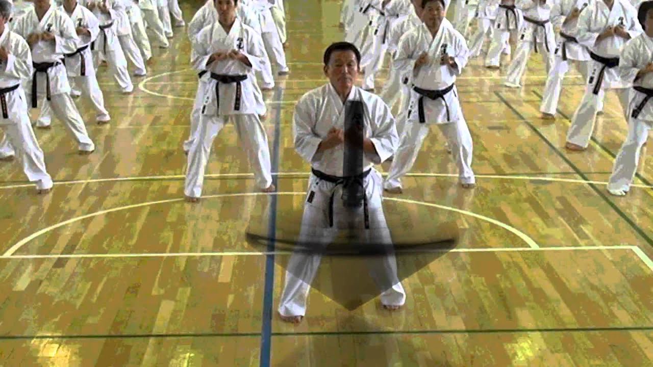 宇城空手型シリーズDVD サンチン 中巻