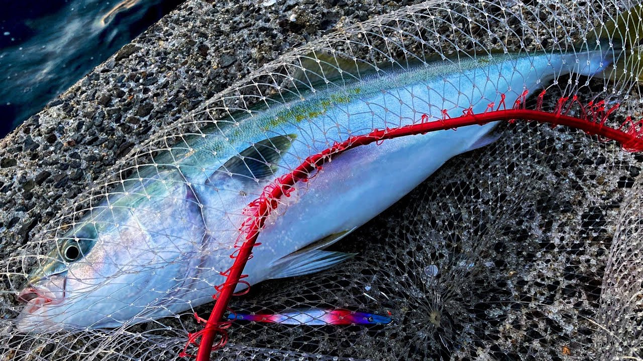 インプレ】24 BLUESNIPER 103ML-Mでたくさん釣りに行ったのでその感想