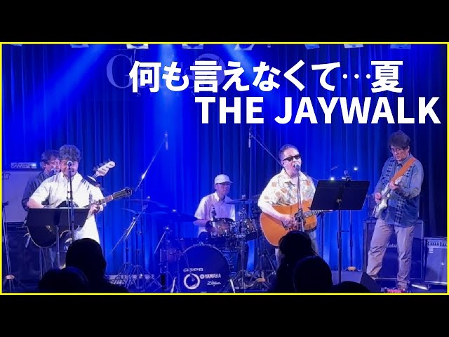 ライブ動画】何も言えなくて…夏 / THE JAYWALK（Cover TwinRiver