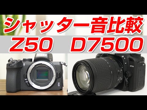 Nikon Z50とD7500シャッター音比較 - YouTube