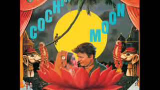 HOSONO & YOKOO / HARUOMI HOSONO & TADANORI YOKOO (細野晴臣 & 横尾