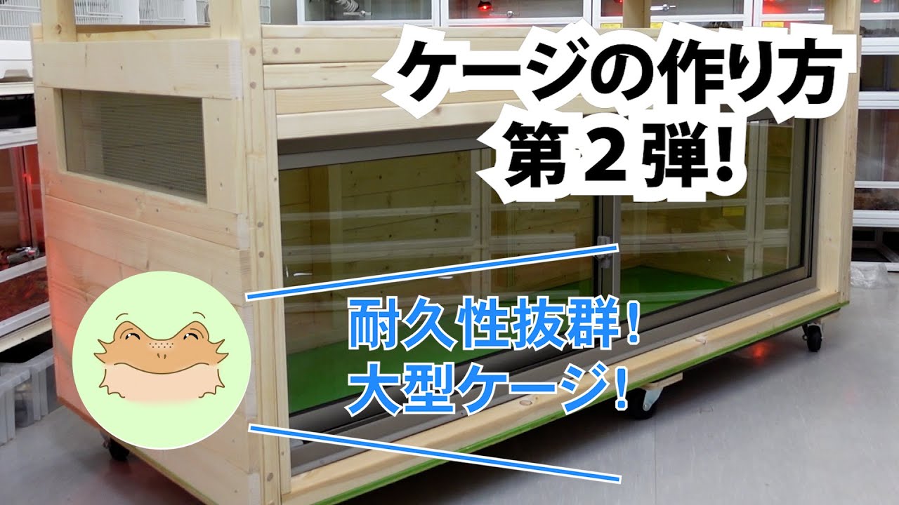 ハチクラ店内のケージの作り方】第2弾！～大型ケージ～ - YouTube