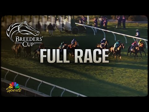 Breeders' Cup 2024: Juvenile Turf (Full Race) | NBC Sports - YouTube