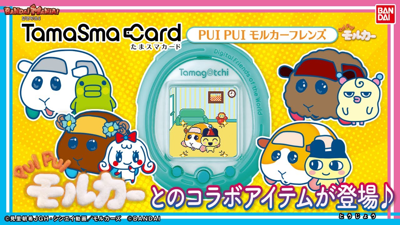 Bandai Official] PUI PUI Molcars have come to meet your Tamagotchi