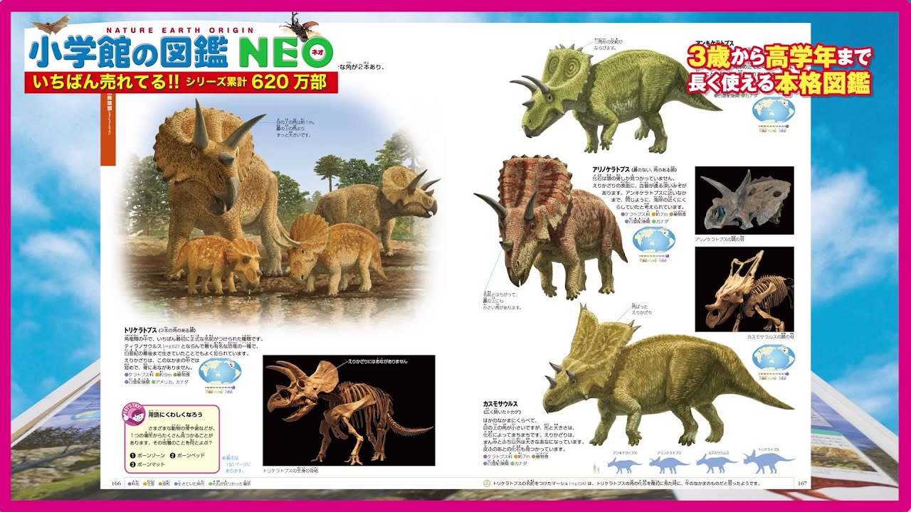 Shogakukan's Illustrated Encyclopedia NEO
