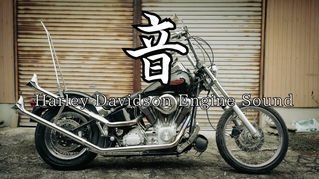 高音質】ハーレー三拍子のみの動画 TC88 フィッシュテール マフラー