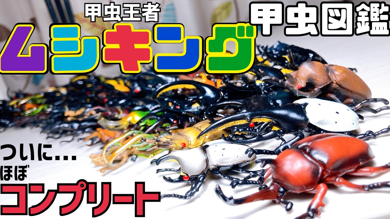 ハイクオリティの甲虫図鑑フィギュアが揃った！甲虫王者ムシキング