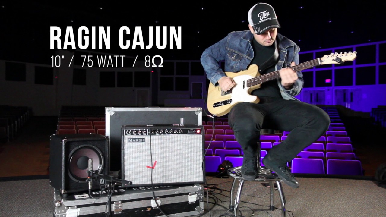 EMINENCE ( エミネンス ) RAGIN CAJUN 16Ω ギターアンプ用スピーカー