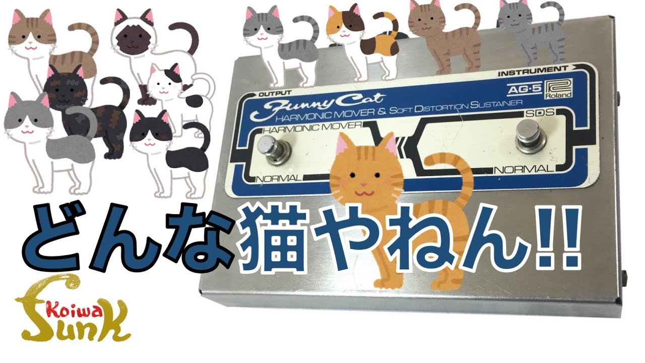 ケンケンの愛猫】Roland Funny Cat AG-5 - リペアショップ小岩ファンク