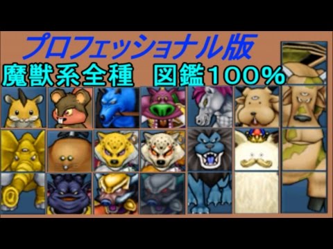 ドラクエジョーカー3プロフェッショナル #107 魔獣系100
