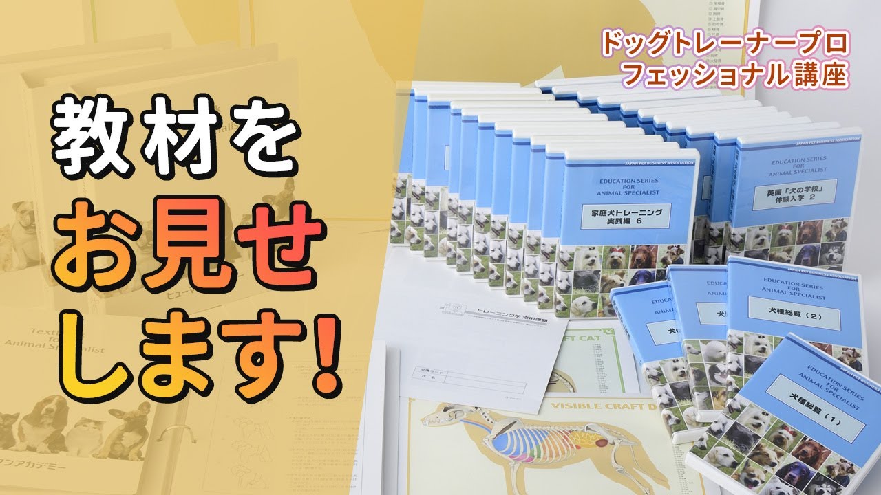 見せてみた】 ドッグトレーナープロフェッショナル講座 紹介動画 - YouTube