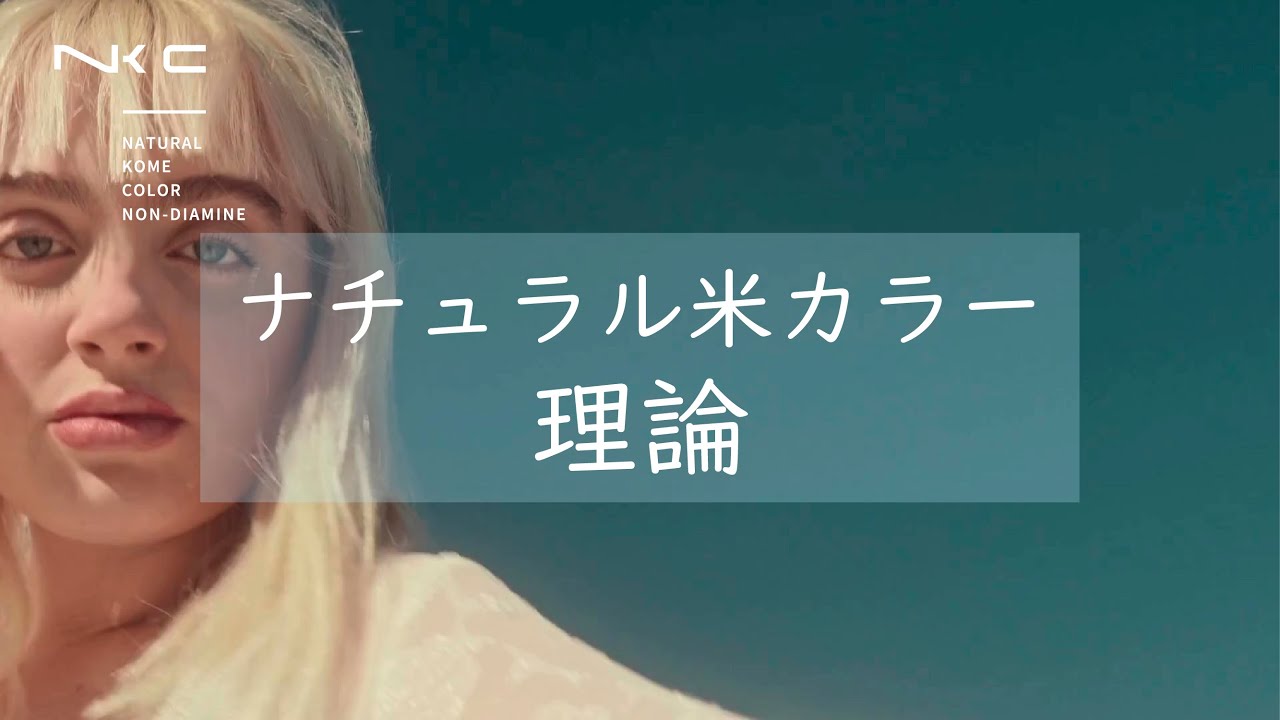 ナチュラル米カラー ノンジアミン ダークウォームブラウン 150gの卸