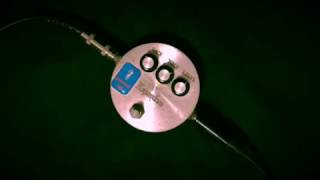 Bixonic Expandora」ビリー・ギボンズも愛用したOD/DSエフェクターを