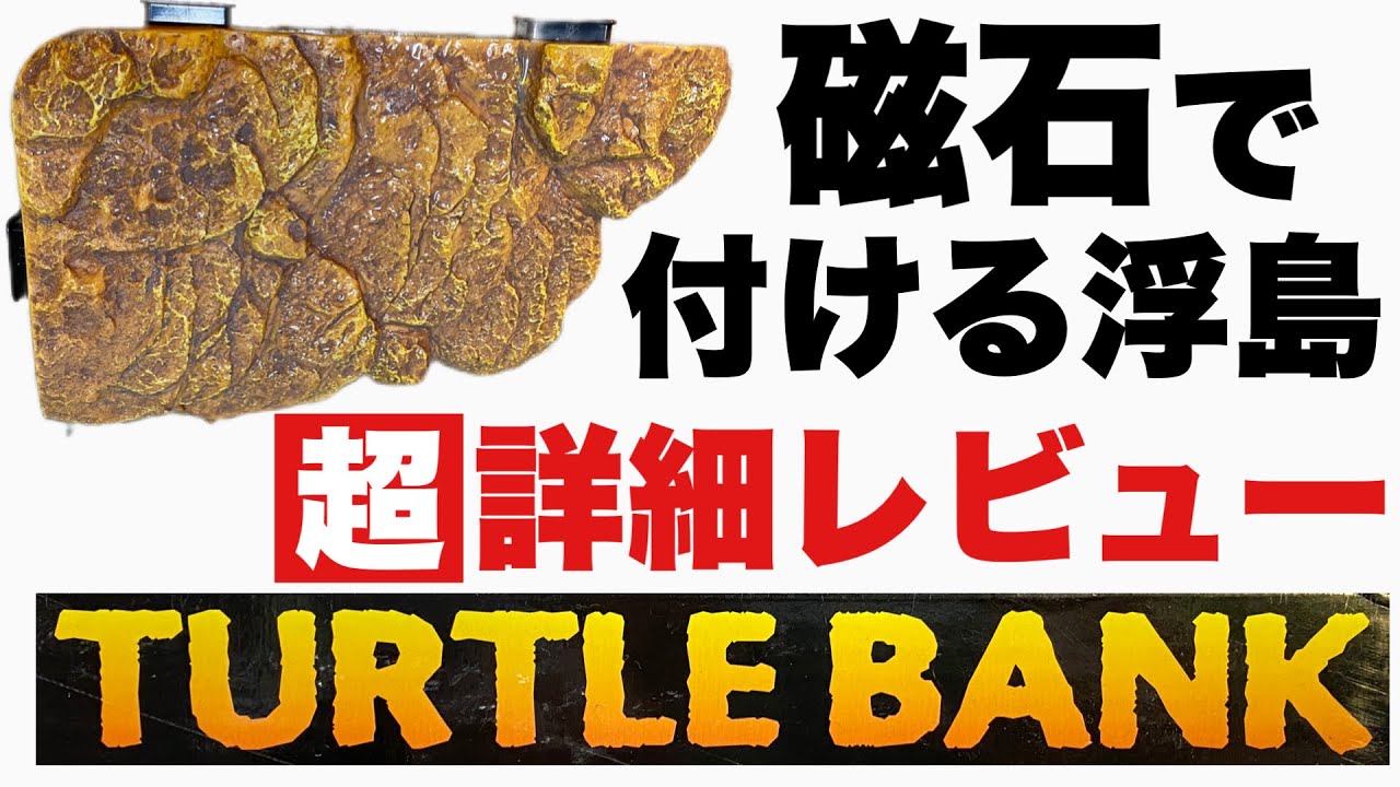 GEX Turtle Bank M] Testing the strength of a floating turtle