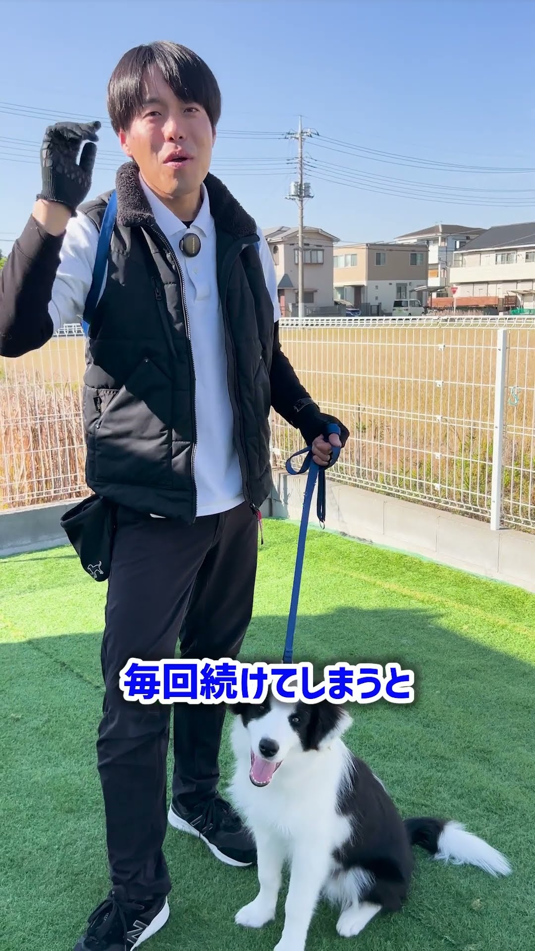 待ての教え方 - YouTube