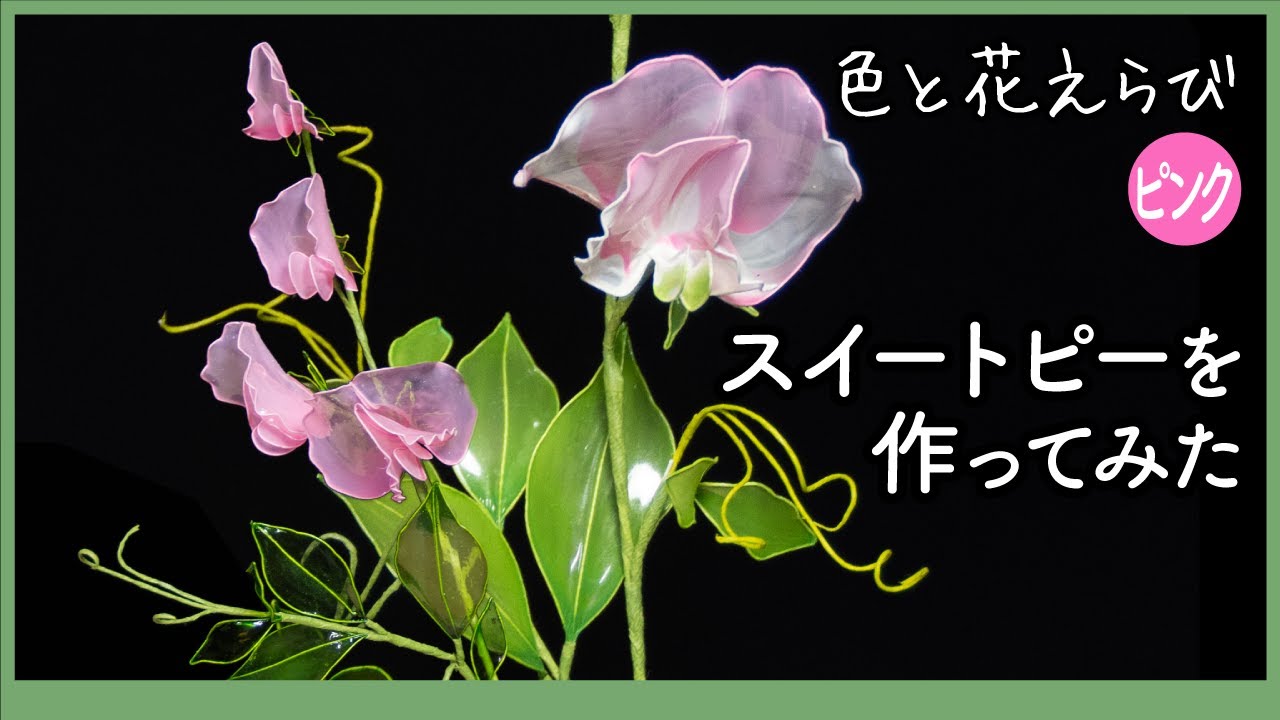 I tried making two-colored sweet peas: A guide to pink dip liquid