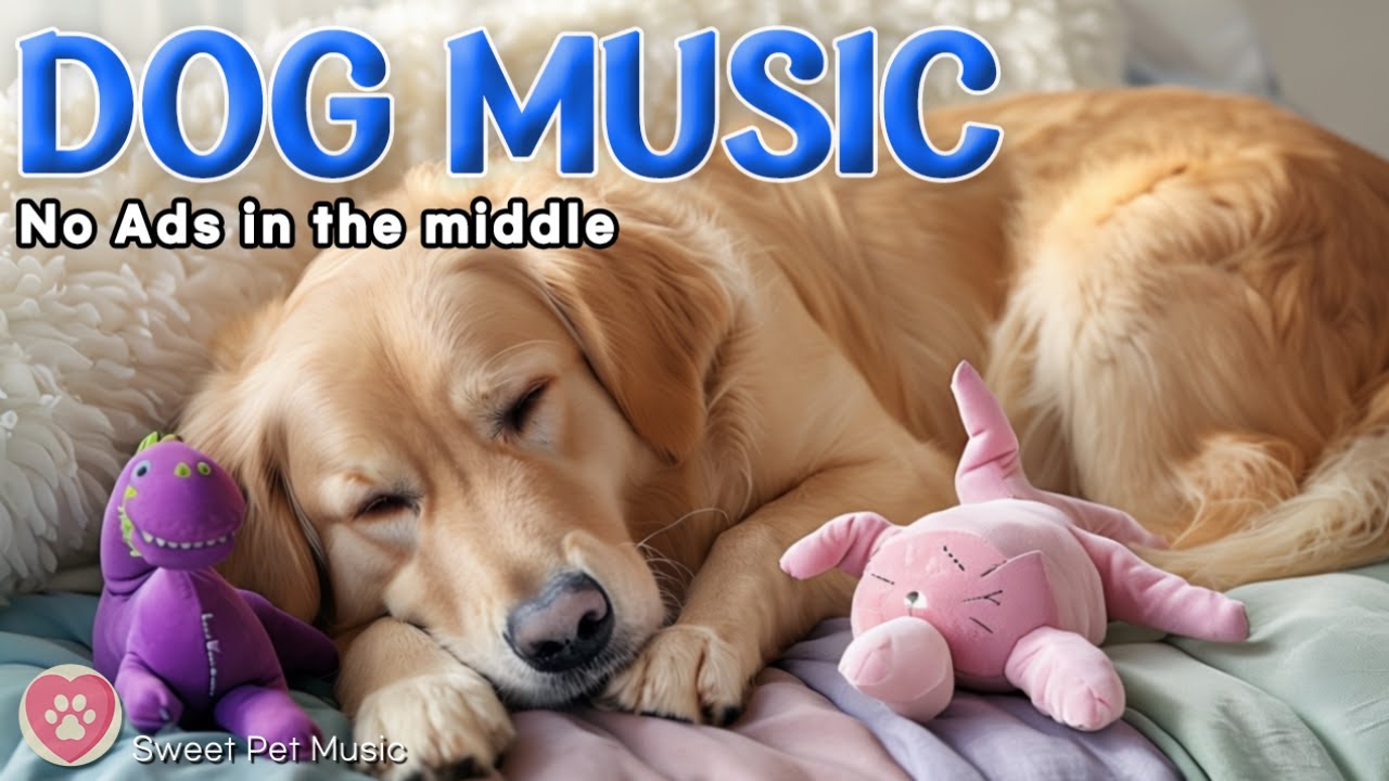 20 Hours of Calming Dog Music🦮💖Morning Relaxing Music for Dogs