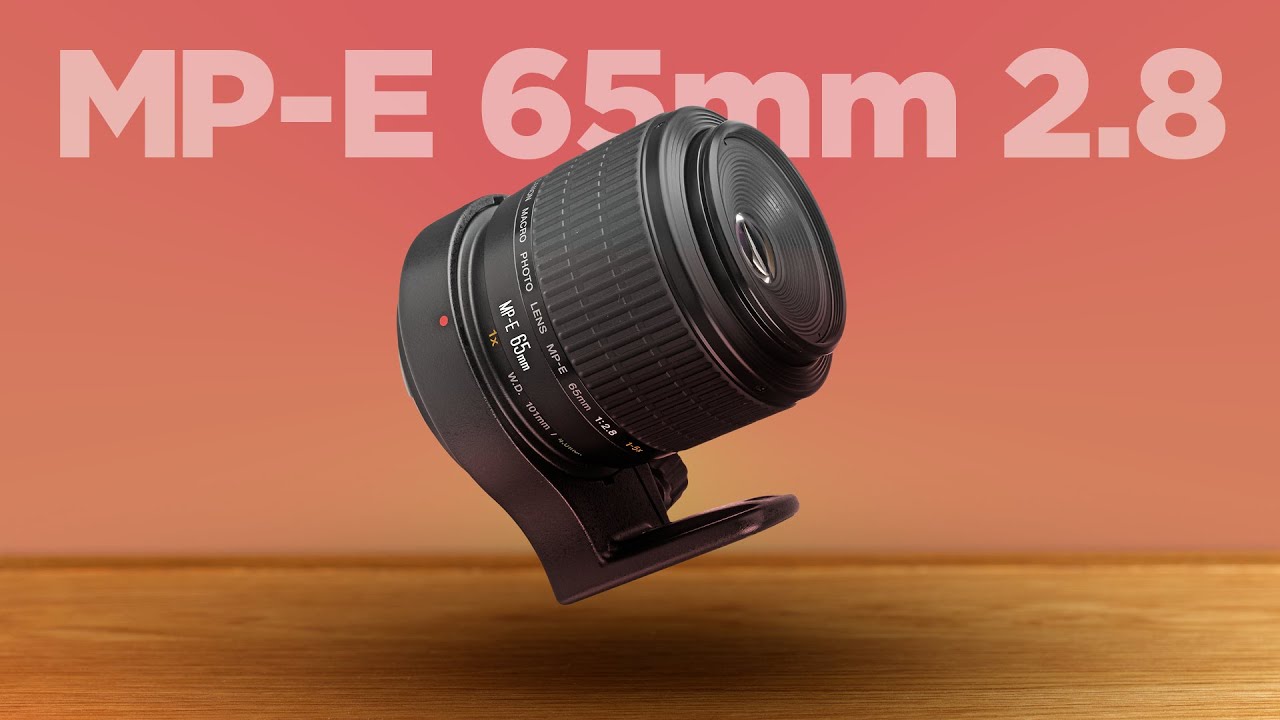 The Canon MP-E 65mm F/2.8 1-5x Macro Unique Lens Review - YouTube