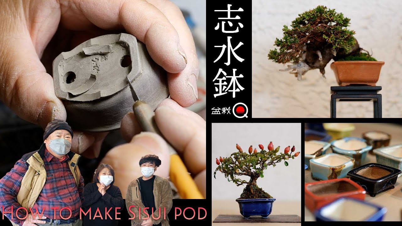 み148）自然石、平石 盆栽鉢 料理の盛り付け み148）自然石、平石盆栽