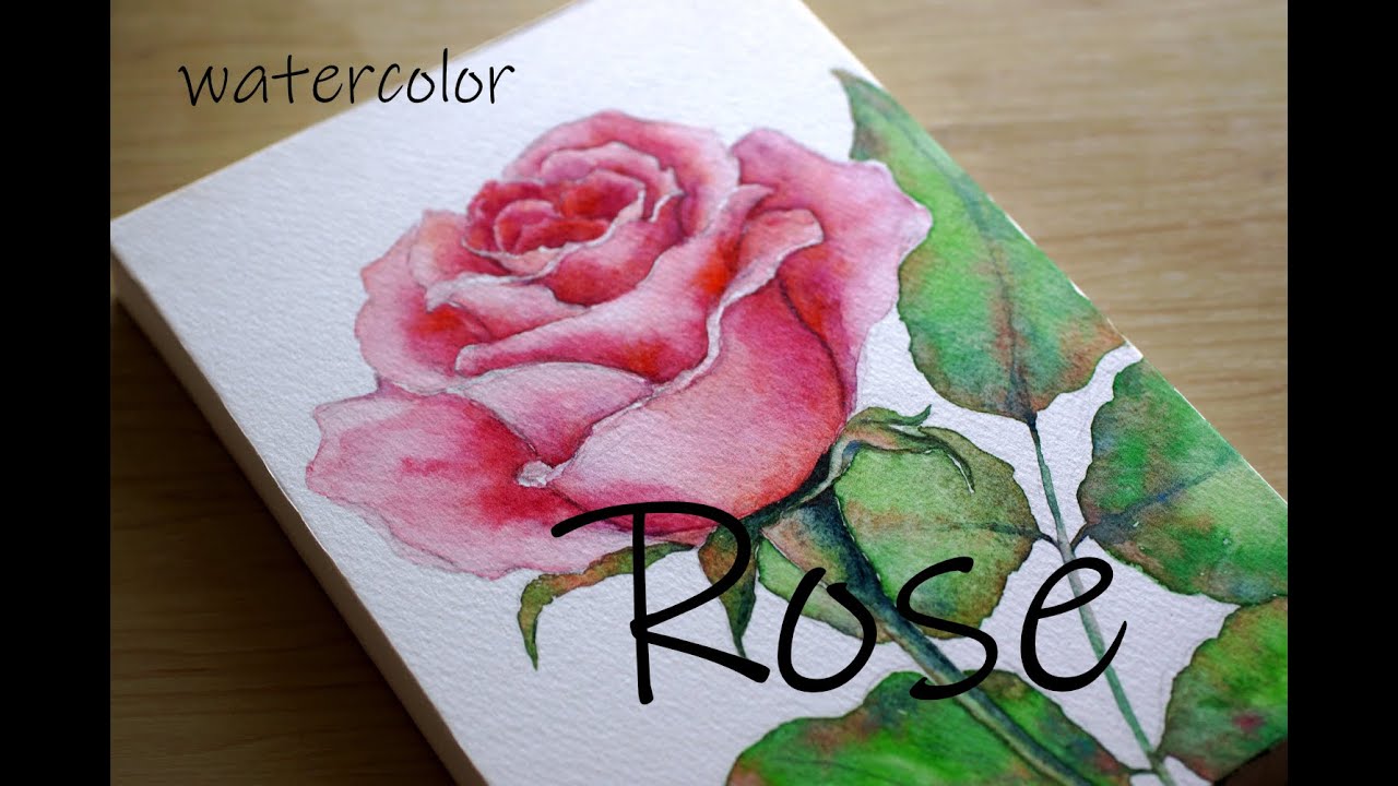 ピンクのバラを描く／Draw a Pink Rose（Watercolor／透明水彩） - YouTube