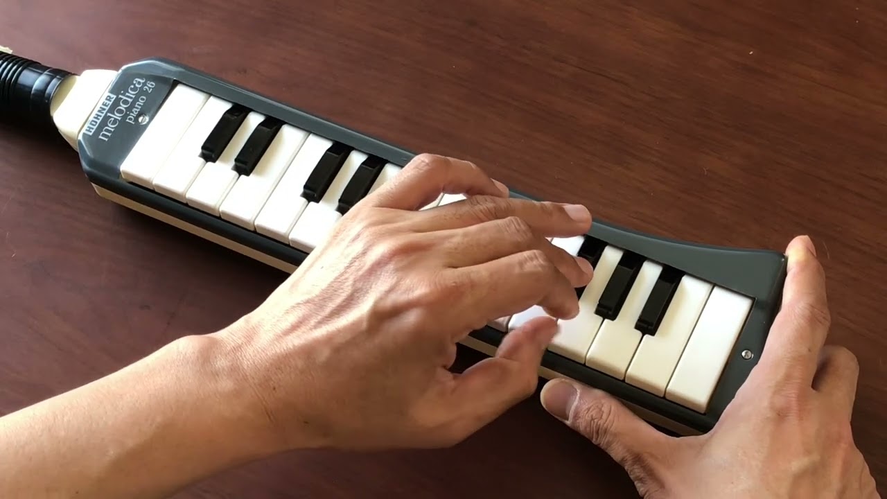 organ69 : [kh187]Hohner melodica piano 26