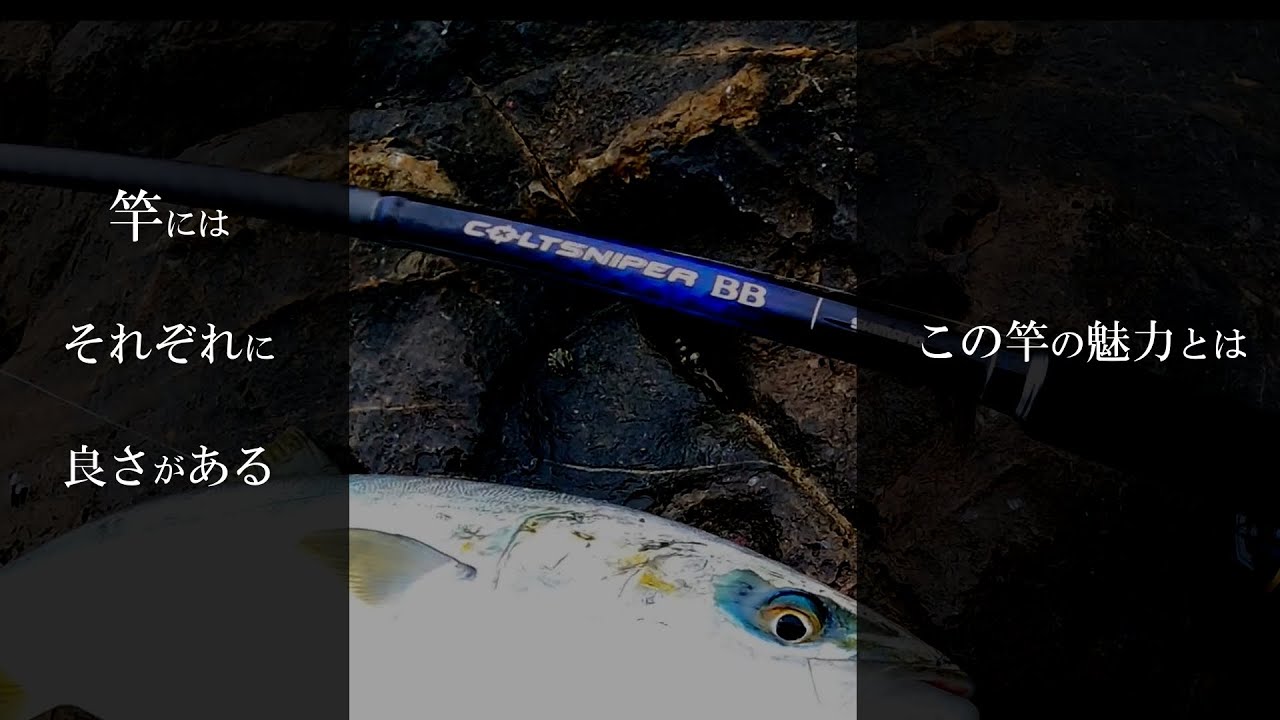 Colt Sniper BB (S100MH-3) Koshikijima Islands Rock Shore - YouTube