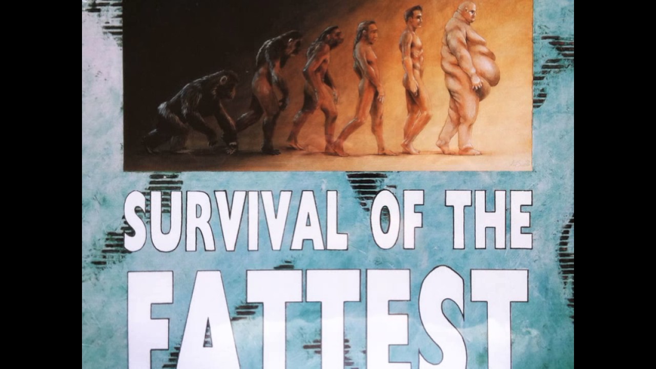 Hi-Standard - California Dreamin' (Cover) - YouTube