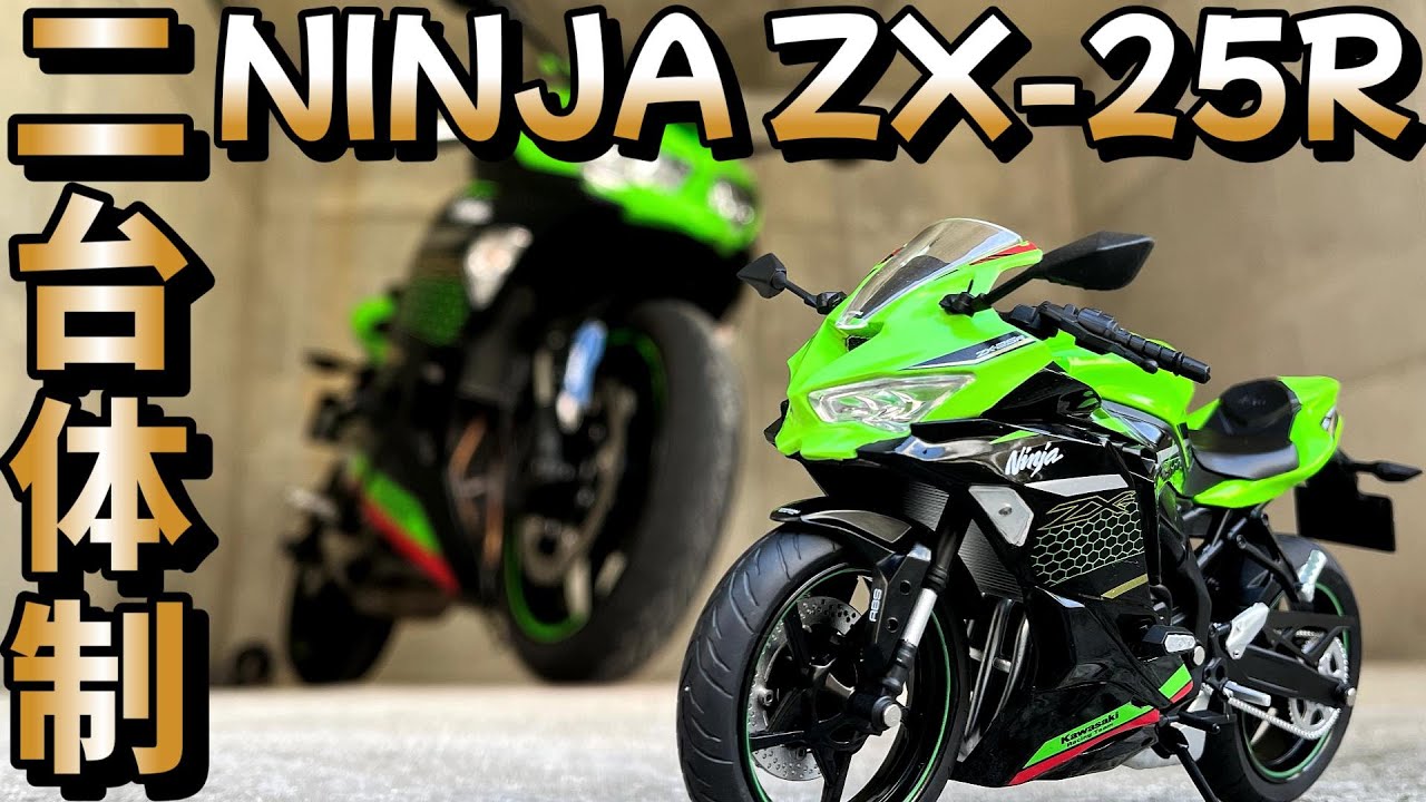 近況報告】Kawasaki Ninja ZX-25R 2台持ちする方法【スカイネット 1/12