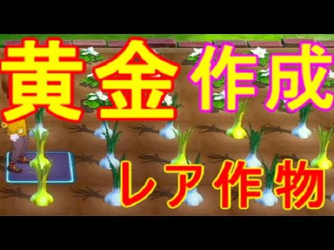牧場物語】黄金レア作物の野菜の入手場所【Let's！風のグランド
